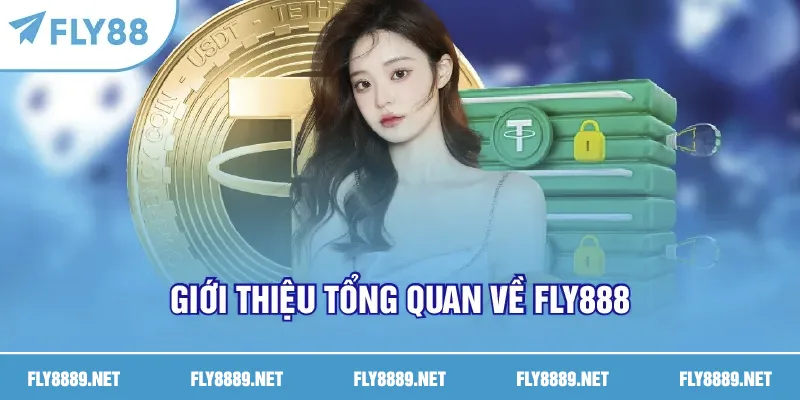 Giới thiệu tổng quan về FLY888